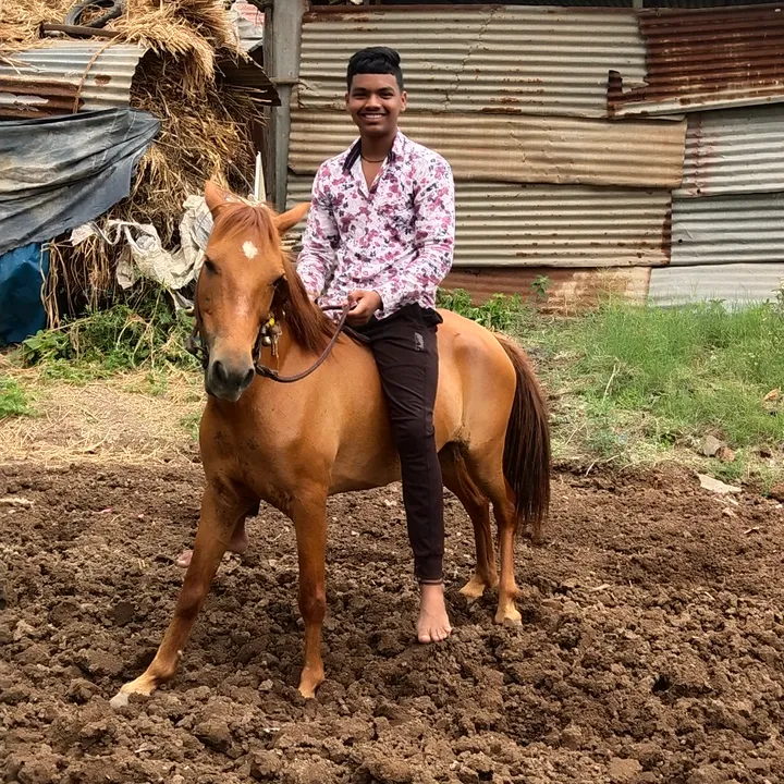 surajdtalekar