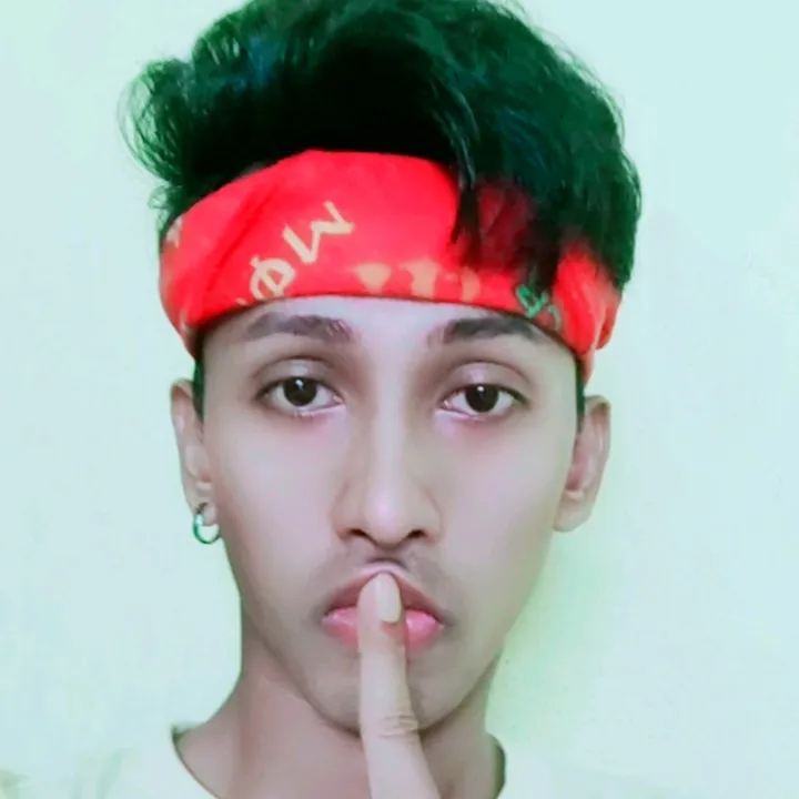 anshroy4567_