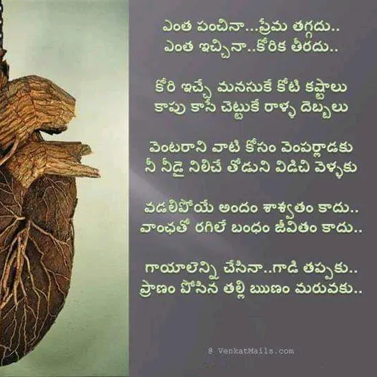 ammubangaram143