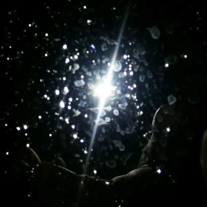 aryan.2008