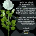 @user1876861592963