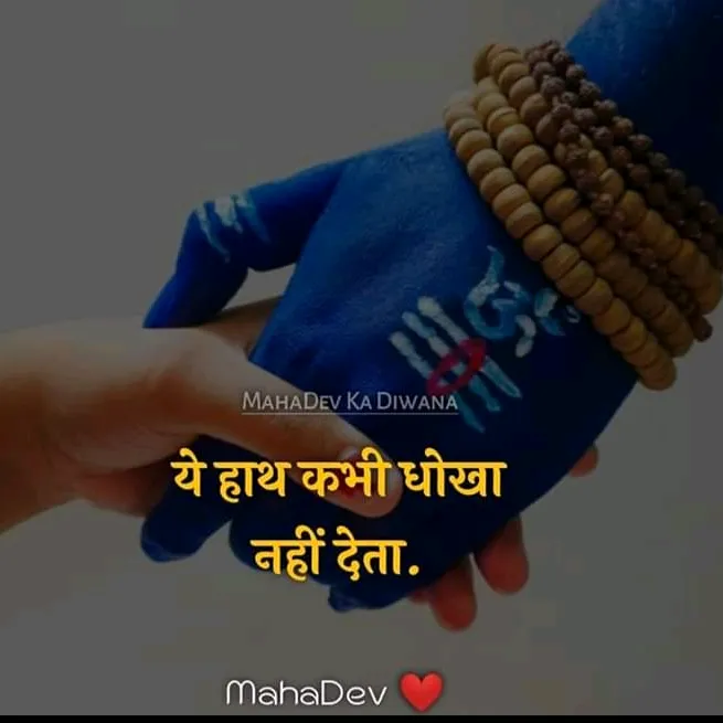 sapnatripathi63