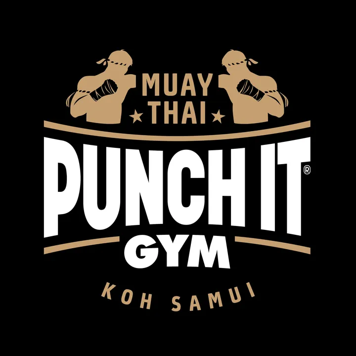 punchitgym