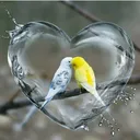 @user31331659pr