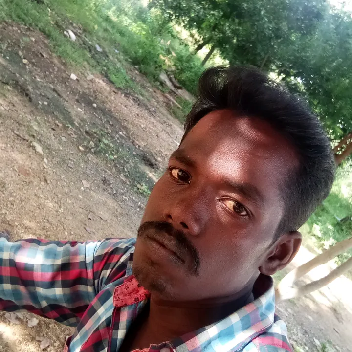 user8530558081578