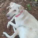 @tamilan_daaaa