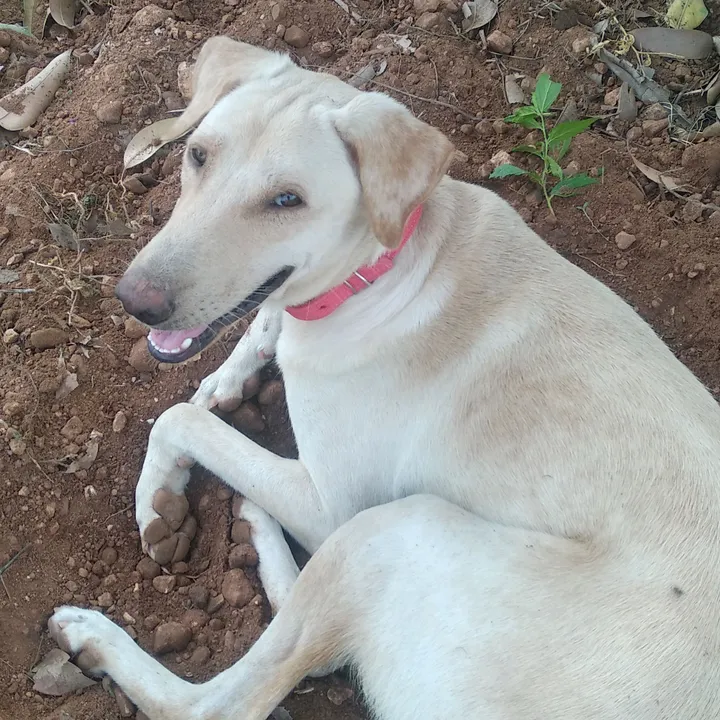 @tamilan_daaaa