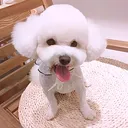 @userj144amri0d