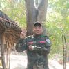 pet41373jfu