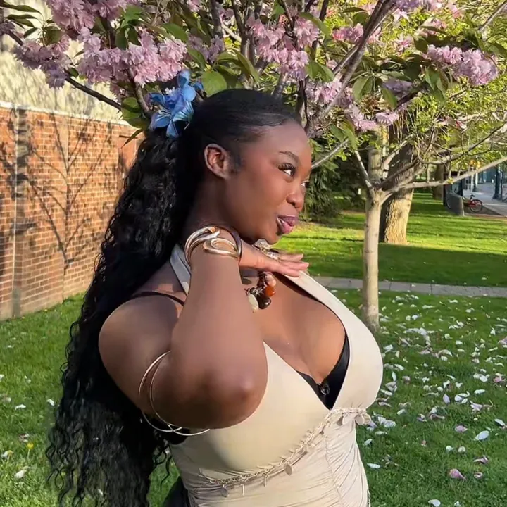 @fancyzzx