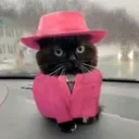 @qla575