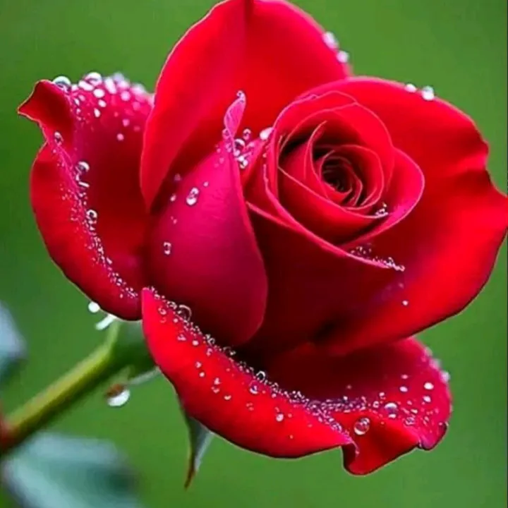 @appus4703