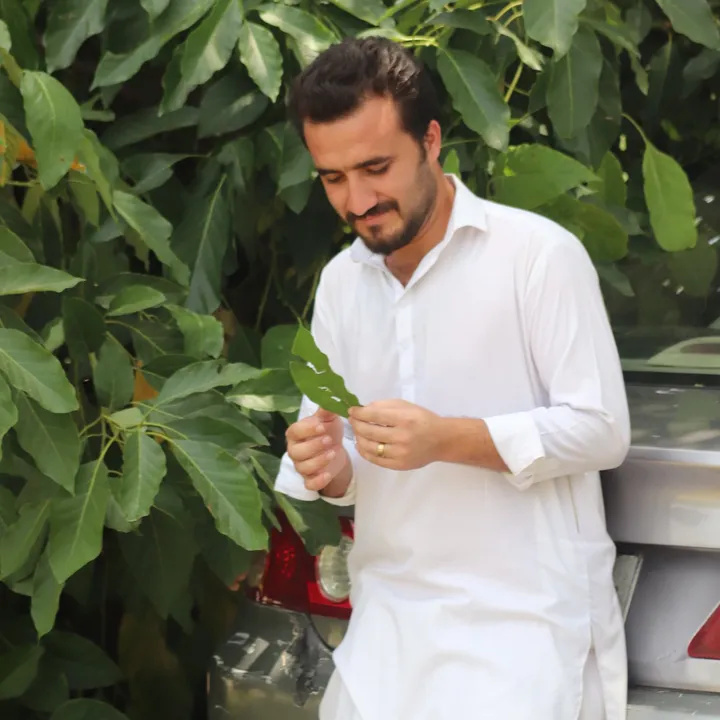 @yousafzaihalak19