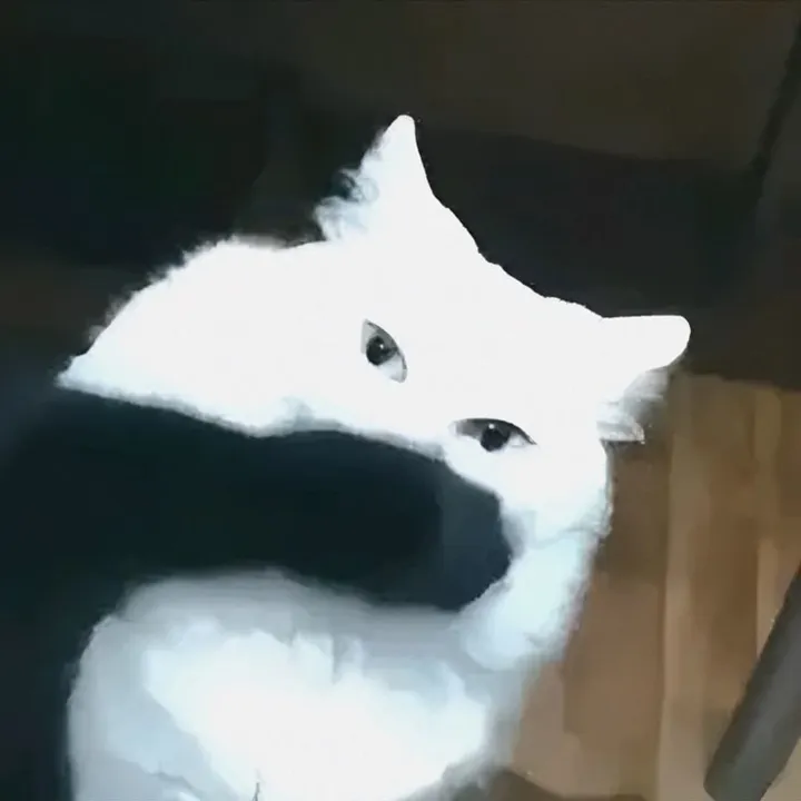 mvacxeilish_