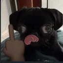 @naomi_lo.pez