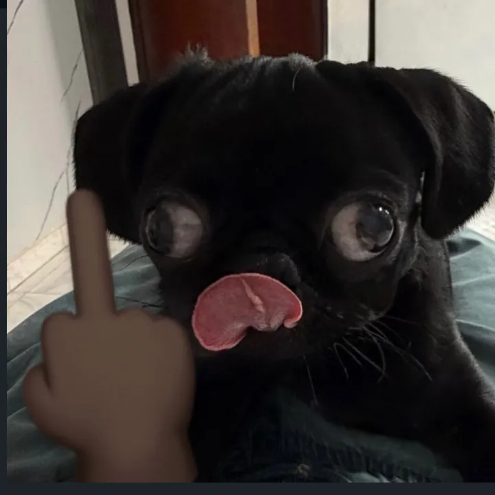 @naomi_lo.pez
