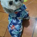 @para.que.veas