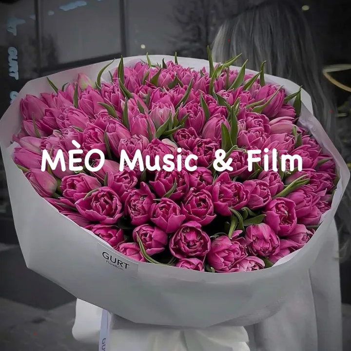 @meo_meu