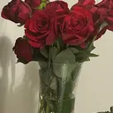 @shalivinglyf