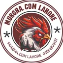 @rajpu766