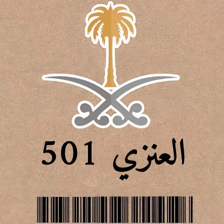 meshann_501_3nzi