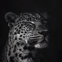 @daniyal_okten73
