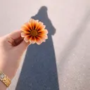 @loulou_loulla