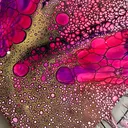 @kimjamesonart