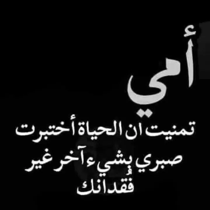 @chef_imed