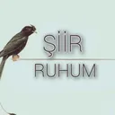 @siirruhum