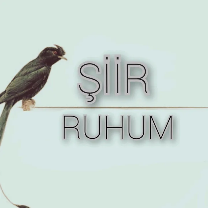 @siirruhum