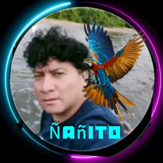 elchushu