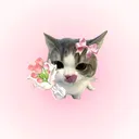 @xys.aa10