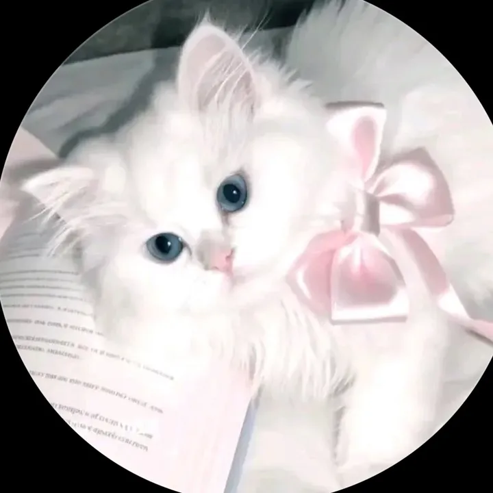 @pookie1263