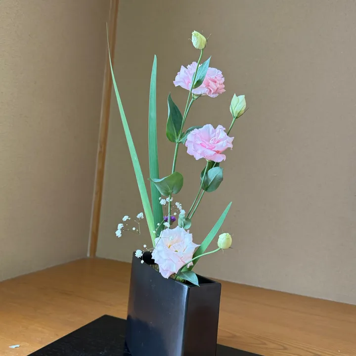 sushillamichhane177