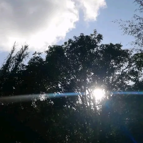 alexhenryrillian
