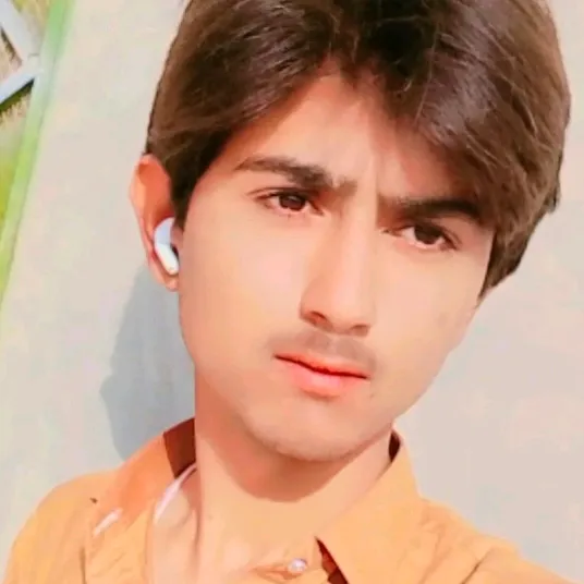 malik.meharban4170