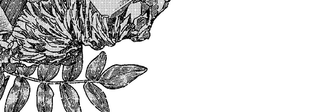 The Hundred-Year Crystal Catalogue - episode 3 - 75