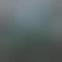 @gtwsp295