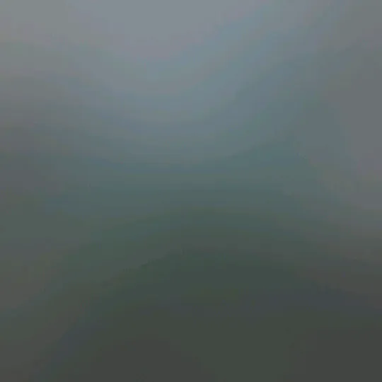 @gtwsp295