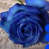 a_matna