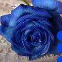 @a_matna