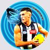 collingwoodfan_afl