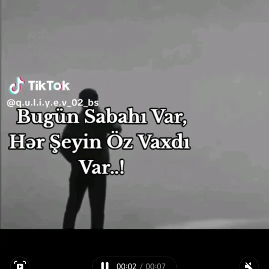 bir_surucu_024