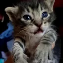 @chumbi_27