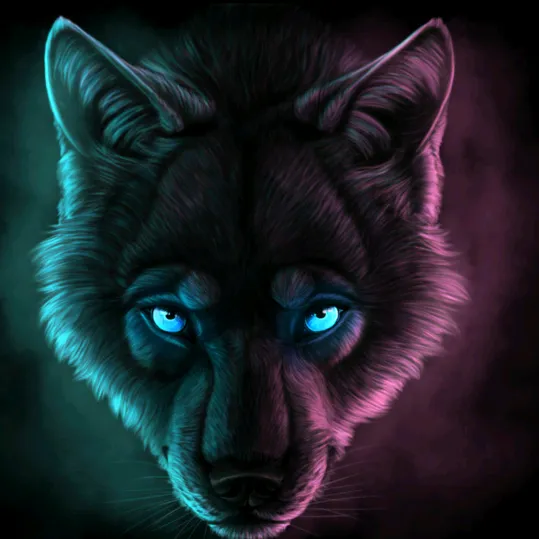 teykam23