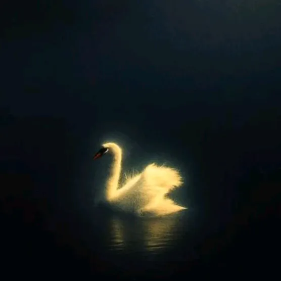 h_or103