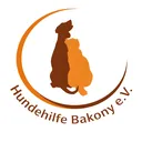 @die_bakonys