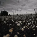 @lilu.u1