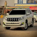 @stc.trading.co..l